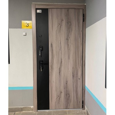 Входная дверь MASTINO TRUST ECO PP-6