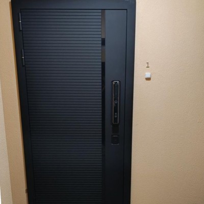 Входная дверь ГРАНИТ ПИАНО СМАРТ-53 Входная дверь ГРАНИТ ПИАНО СМАРТ-53