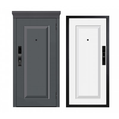 Входная дверь Металюкс M-SL 668/1 E5